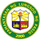 Working at PAMANTASAN NG LUNGSOD NG PASIG| Bossjob