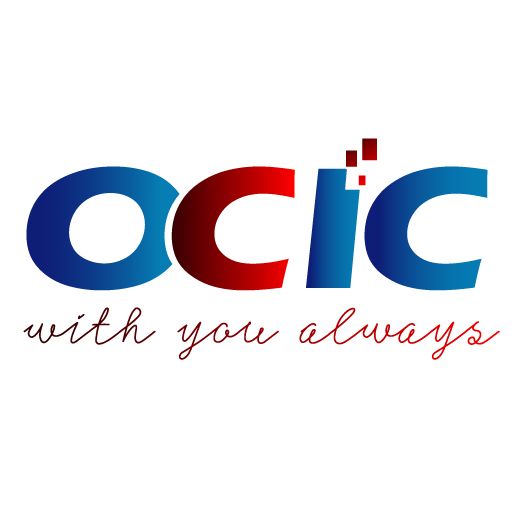 OCIC Consulting Int'l Inc Tax Assistant