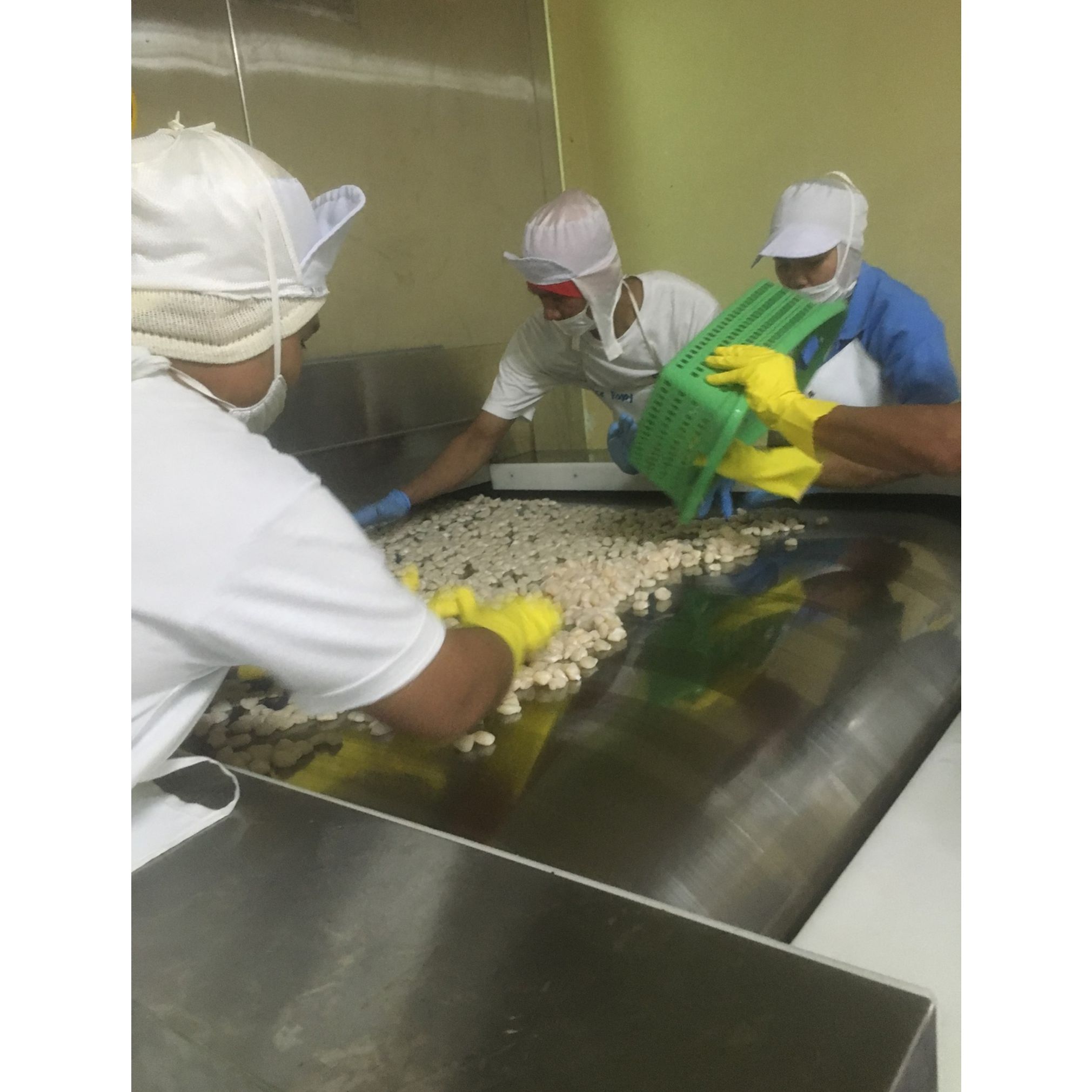 Working at Sinobest Refrigeration Inc. Bossjob