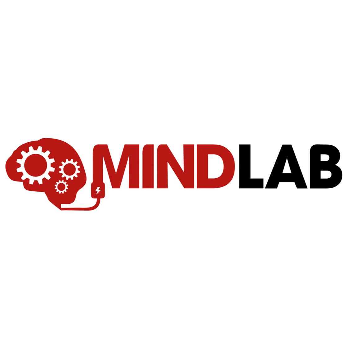 Mindlab International (Mindlab Tuition Centre Pte. Ltd.) Careers in ...