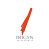 Working At Trigyn Technologies Ltd| Bossjob