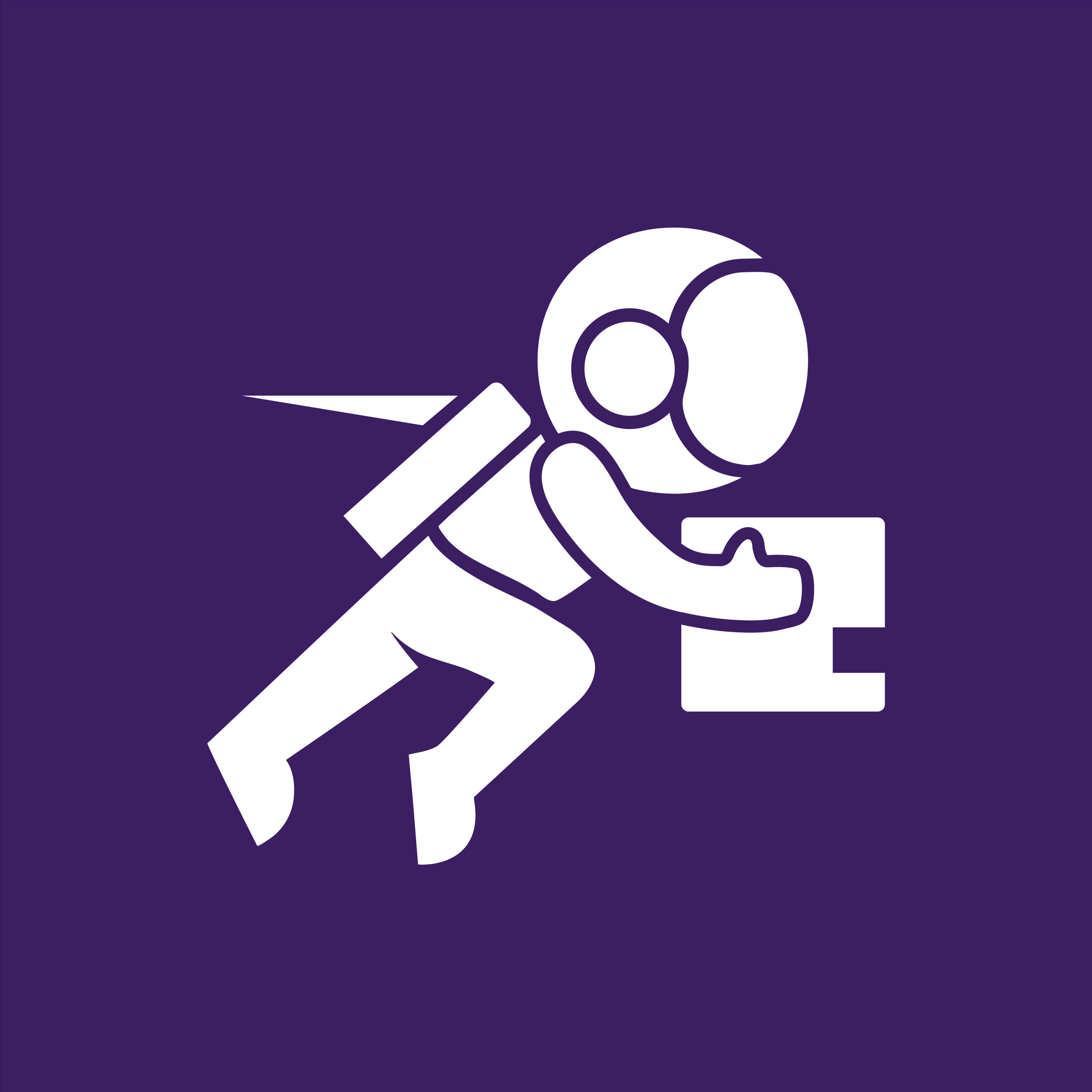 Shipmates Software Engineer