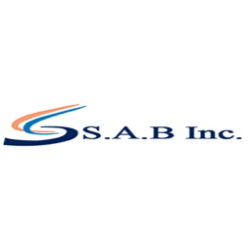Sabrina Anupol Business Inc. logo