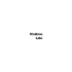 Modulus Labs Inc.