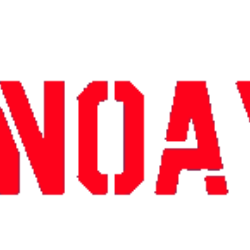 Noays Group