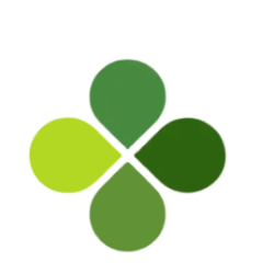 Springer Capital